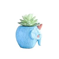 WISH HALLY WOOD Blue Elephant Succulent Planter Pots for Office House Balcony Landscape Creative Decorative Flower Pots (Blue Elephant)