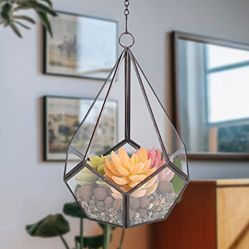Chonsun Glass Terrariums Hanging, Teardrop Shape for Indoor Gardening Decor Succulent Fern Moss Air Plants, Miniature Fairy Garden Container, Home Tabletop Decor Gift (No Plants Included) 9.8x11in