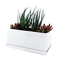 Window Box in A Modern Ceramic Design