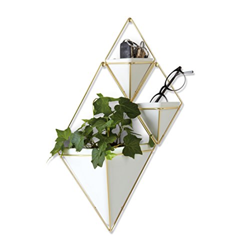 Umbra Trigg Hanging Planter Vase & Geometric Wall Decor Container - Great for Succulent Plants, Air Plant, Mini Cactus, Faux Plants and More, White Ceramic/Brass (Set of 3) Small (2) and Large (1)