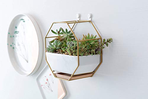 VanEnjoy 7" White Ceramic Wall Planters Vase and Copper,Drainage Hole with Bamboo Tray - Succulent Pot Air Plants Mini Cactus Artificial Flowers Hanging Geometric Hexagon Wall Decor (Gold Metal)