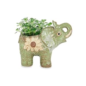 Dahlia Daisy Elephant Handmade Ceramic Succulent Planter/Plant Pot/Flower Pot, Daughter
