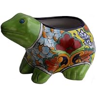 Rainbow frog planter