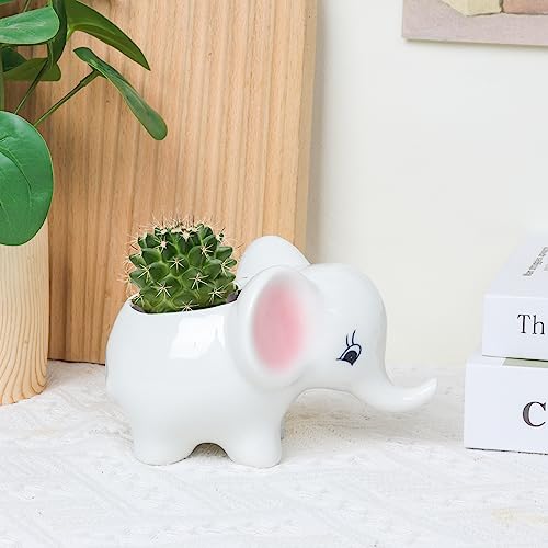 Dashare Adorable Ceramic Elephant Succulent Planter with Drainage for Home Decor，Indoor Animal Plant Pot, White Elephant Ceramic Cactus/Flower Container (Elephant)