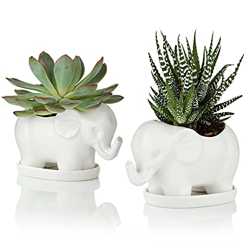Set of 2 Ceramic Elephant Succulent Planter Pots with Saucers, Small Ceramic Elephant, Elephant Planter Succulent, Ceramic Elephant Pot, White Ceramic Animal, Planter Elephant, Elephant Plant Pot