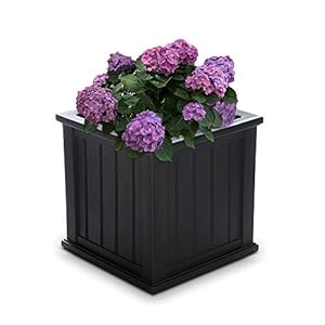 Mayne 4838-B Cape Cod Polyethylene Planter, 20