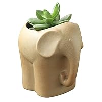 GeLive Elephant Planter Ceramic Plant Pot Succulent Pottery Decorative Flower Pot Vase Pen Holder (Pottery Elephant)
