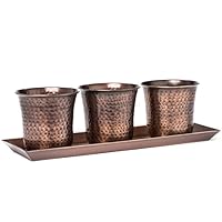 Indoor/Outdoor Flower Garden Window Box