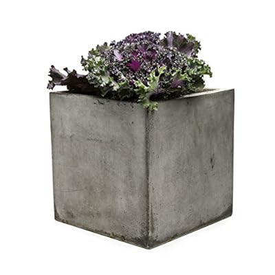 Repose Cubo Succulent Planter, Large