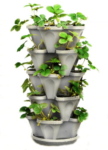 5 Tier Stackable Strawberry, Herb, Flower, and Vegetable Planter - Vertical Garden Indoor / Outdoor