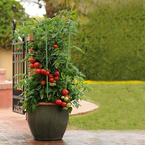 ZJIA 3 Pack Plant Support Cages Tomato Cages and Supports with Adjustable Rings (18 inch)
