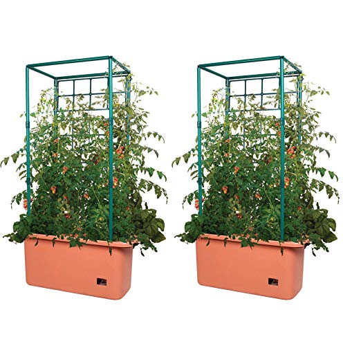 10 Gal Tomato Trellis Self Watering Garden Grow System on Wheels
