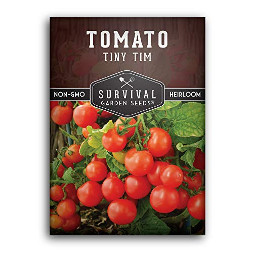Tiny Tim Tomato Seeds