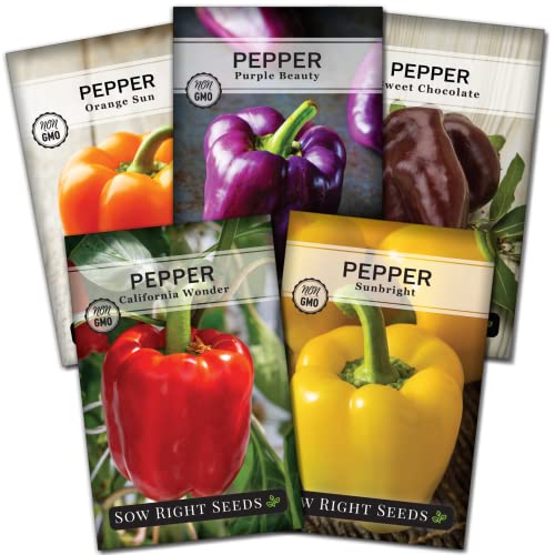 Sow Right Seeds - Sweet Bell Pepper Seed Collection for Planting a Home Garden - Orange, Red, Yellow, Purple, and Chocolate Brown Bell Peppers - Non-GMO Heirloom Variety Pack Vegetable Seeds to Plant