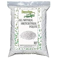 Horticultural Perlite 1 Quart Bag 