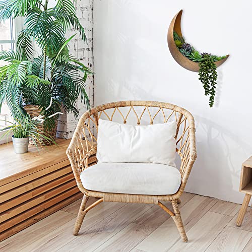 AERLO Wall Mounted Metal Moon Planter - Hanging Crescent Pot for Succulents, Air Plants, Cacti - Boho Indoor Outdoor Celestial Wall Decor for Bedroom, Bathroom, Living Room, Nursery - Rustic Gold