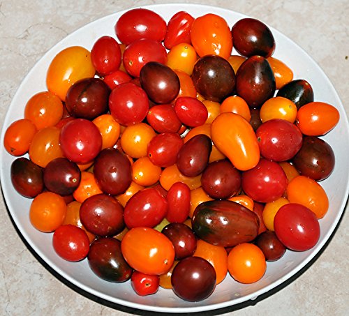 Please Read! This is A Mix!!! 30+ Cherry Tomato Mix Seeds 10 Varieties Heirloom Non-GMO, Black, Lucky Tiger, Yellow Red Pear, from USA