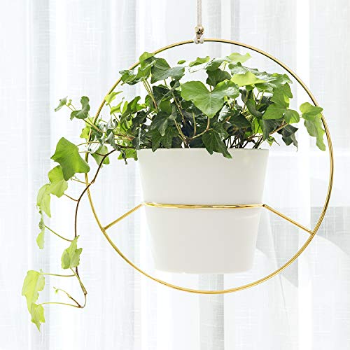 Mkono Boho Hanging Planter, Set of 2 Round Metal Plant Hanger with Plastic Plant Pot, Modern Wall and Ceiling Planter Mid Century Flower Pot Holder, Fits 6 Inch Planter (Plastic Pots Included), Gold