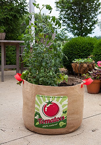 PANACEA PRODUCTS 84386 Grow Bag tomatoes , 20 gallon