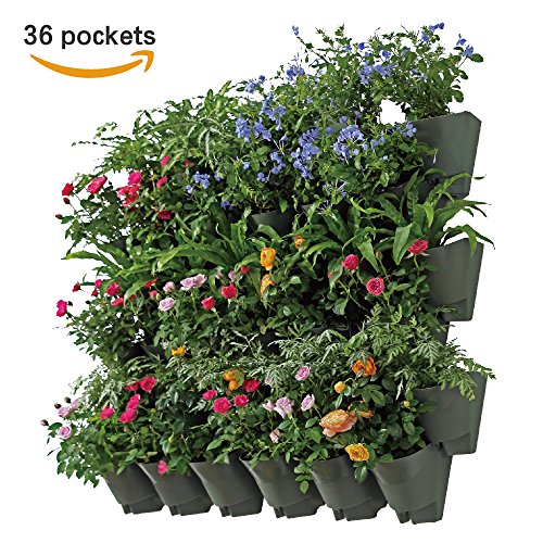 self watering wall garden