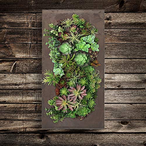 Vandue Modern Home Living Wall Galvanized Steel/Zinc Succulent Planter (Rust Zinc, 12 Pocket)