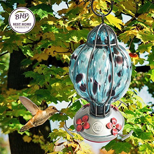 Best Home Products Hummingbird Feeder with Perch - Hand-Blown Glass Feeders | Treat ((Blue Black)