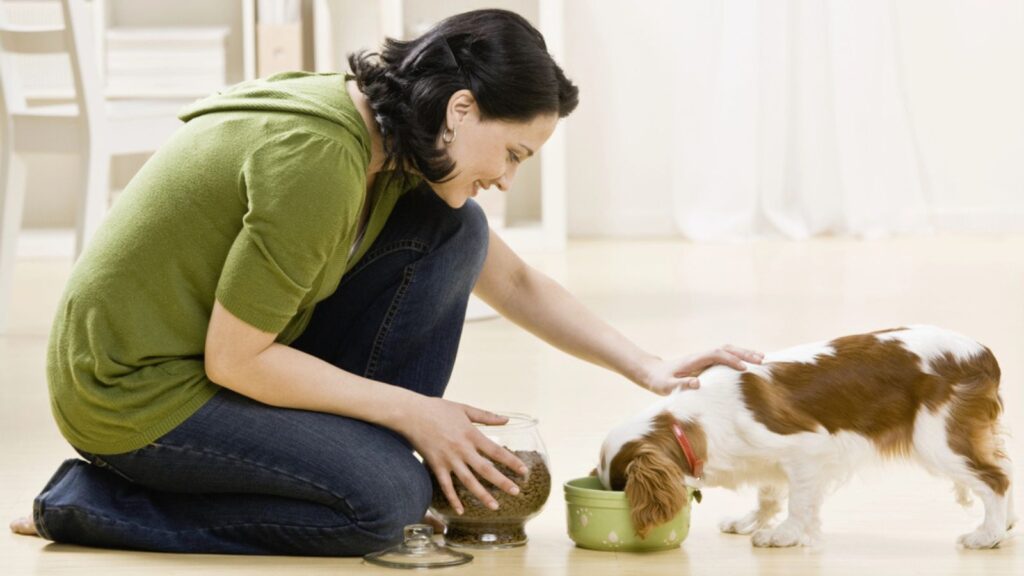 A woman feeding a Puppy and Holding a Pot full of Dog food in her Other hand