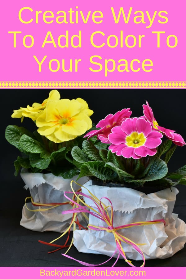 Creative ways to add color to your space