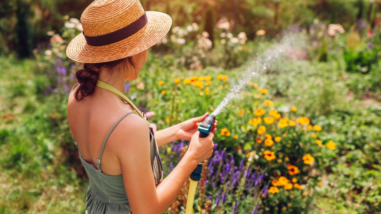 Back view of woman gardener in straw hat watering plants with hose pipe in summer garden setting water pressure