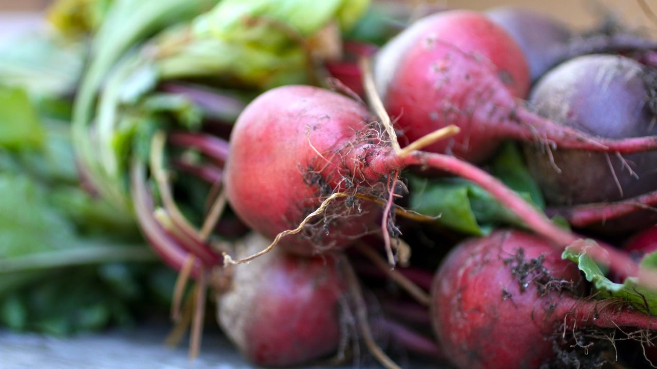 Beets