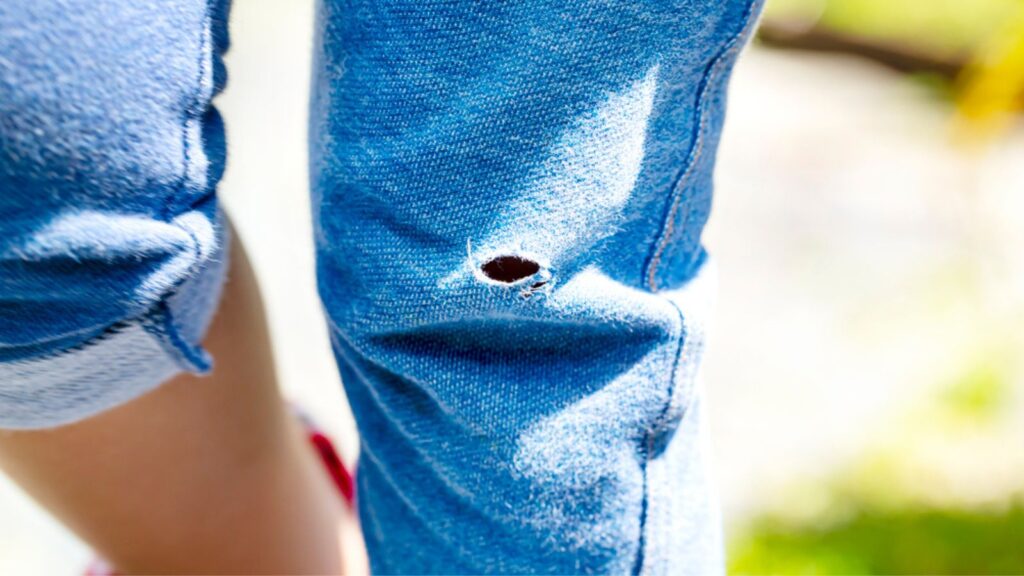 Blue jeans with holes walking in the garden background and copy space.