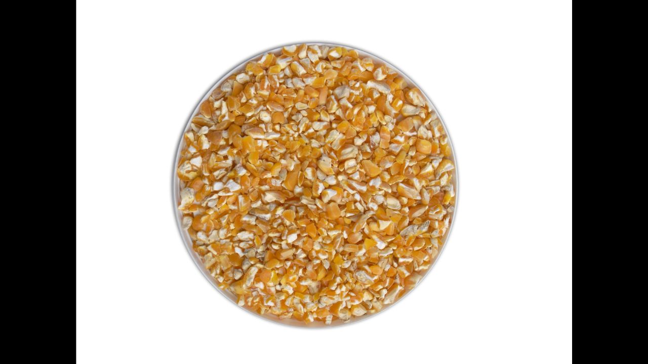 corn seed cracked human food and animal feed