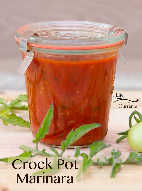 Crock pot marinara sauce