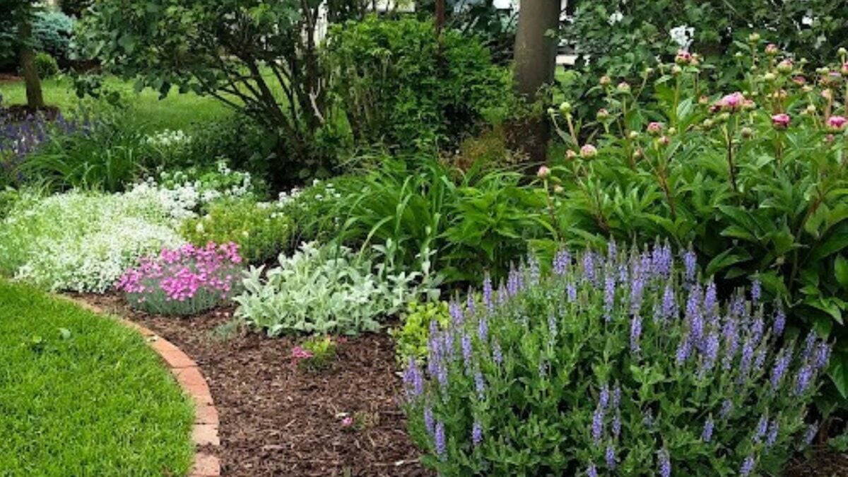 curved flower bed, carefully maintained with mulch.