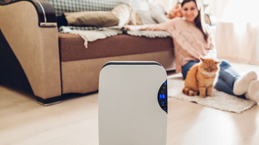 Dehumidifier with touch panel, humidity indicator, uv lamp, air ionizer, water container works at home while people chilling