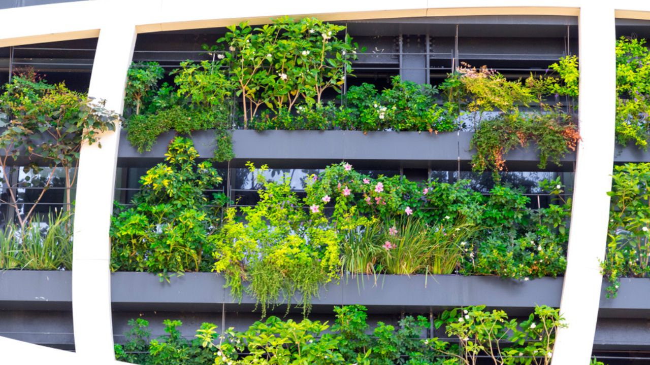 Detail from a living wall covered with variety of plants, flowers and grass, eco-friendly urban architecture in Tel Aviv, Israel