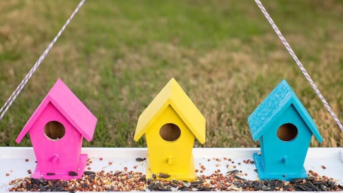 DIY bird feeding station.