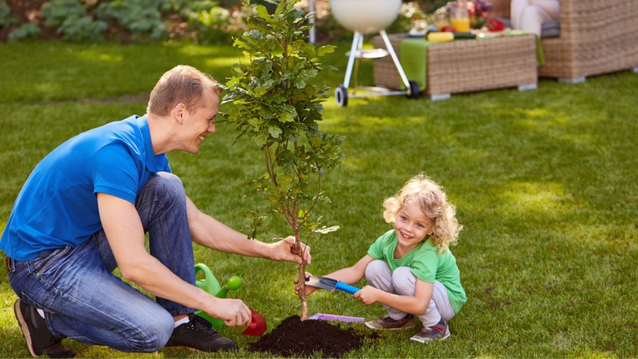 Father and son planting tree