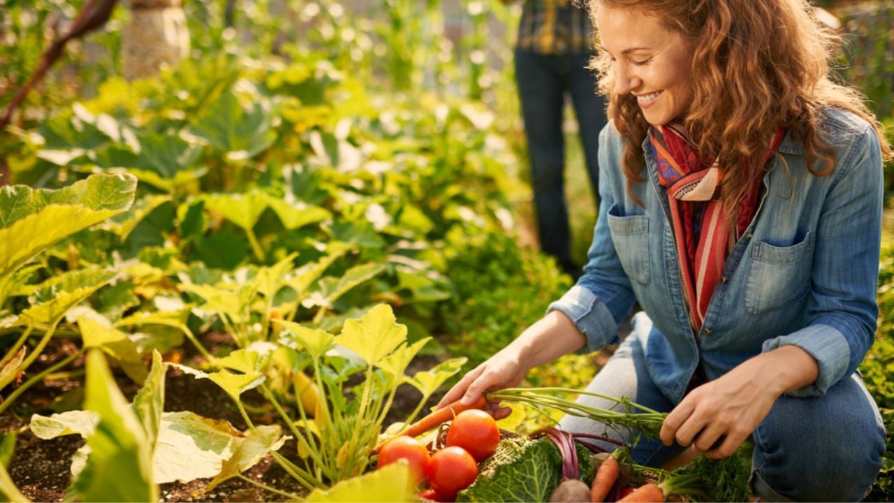Friendly team harvesting fresh vegetables from the rooftop greenhouse garden and planning harvest season on a digital tablet