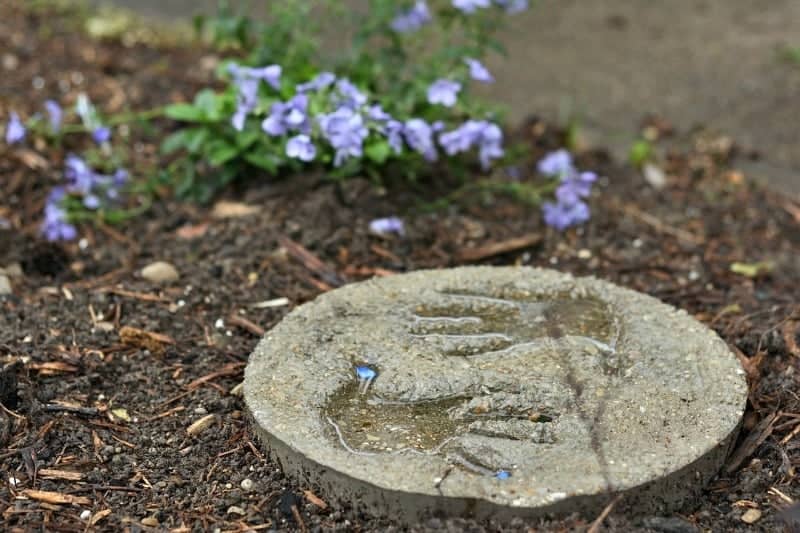 Garden stepping stone