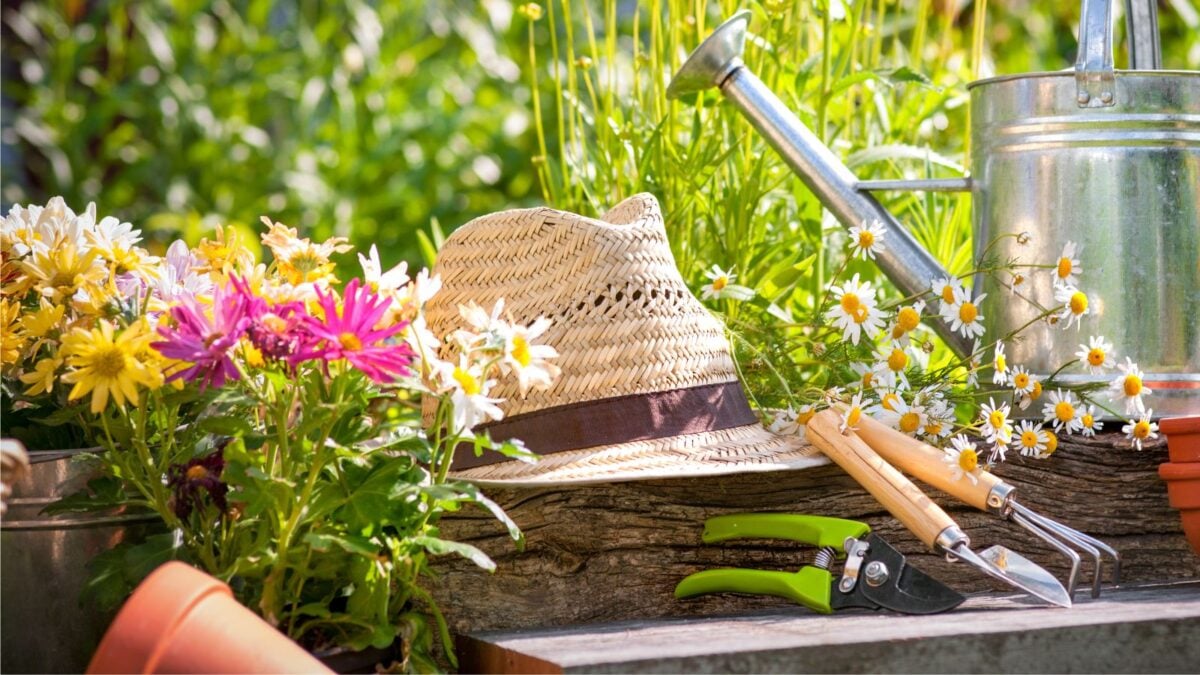 garden tools.