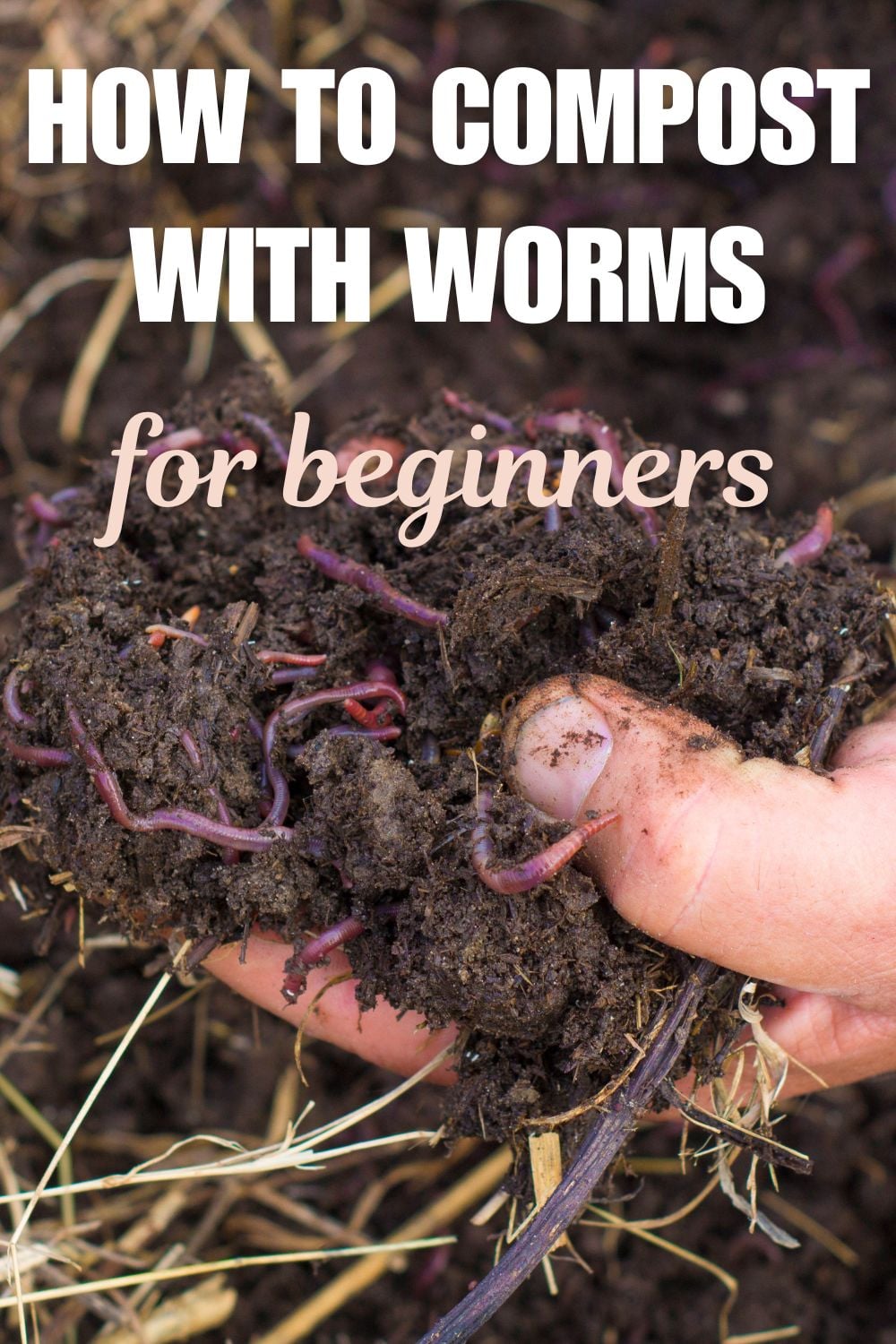 How to compost with worms for beginners.