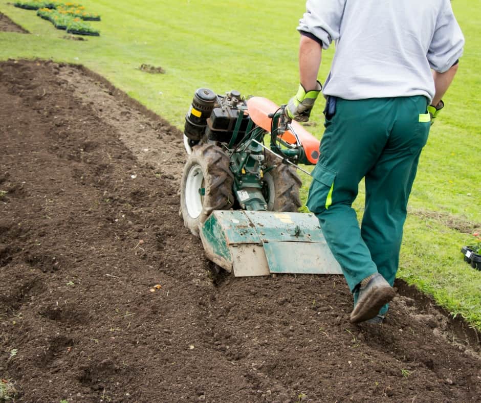 How To Start A New Vegetable Garden