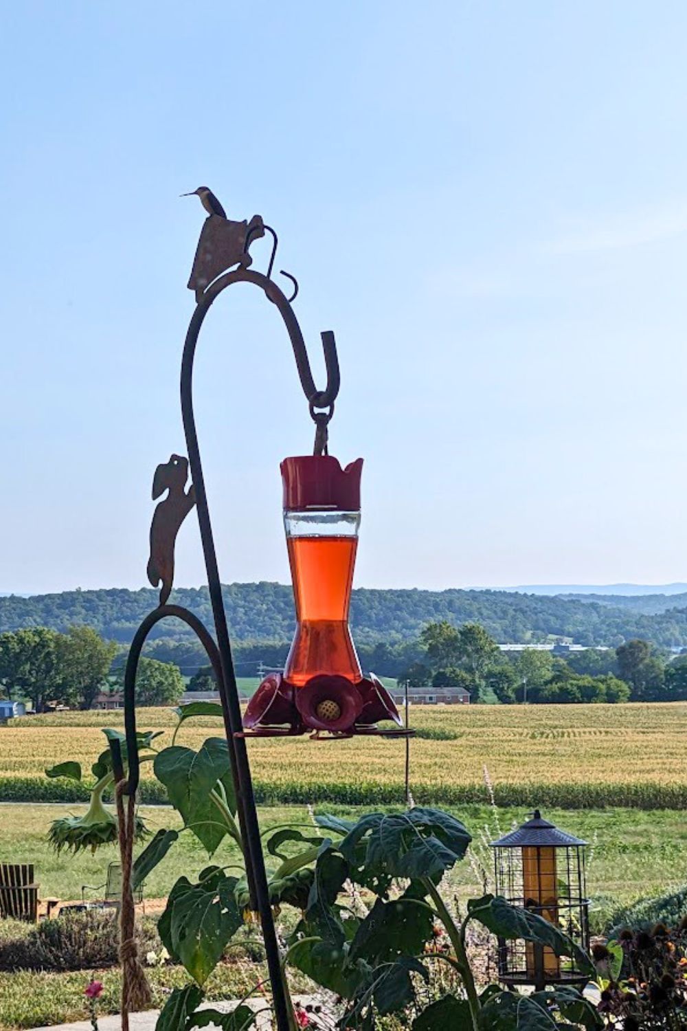 hummingbird perched on a bid feeder pole.