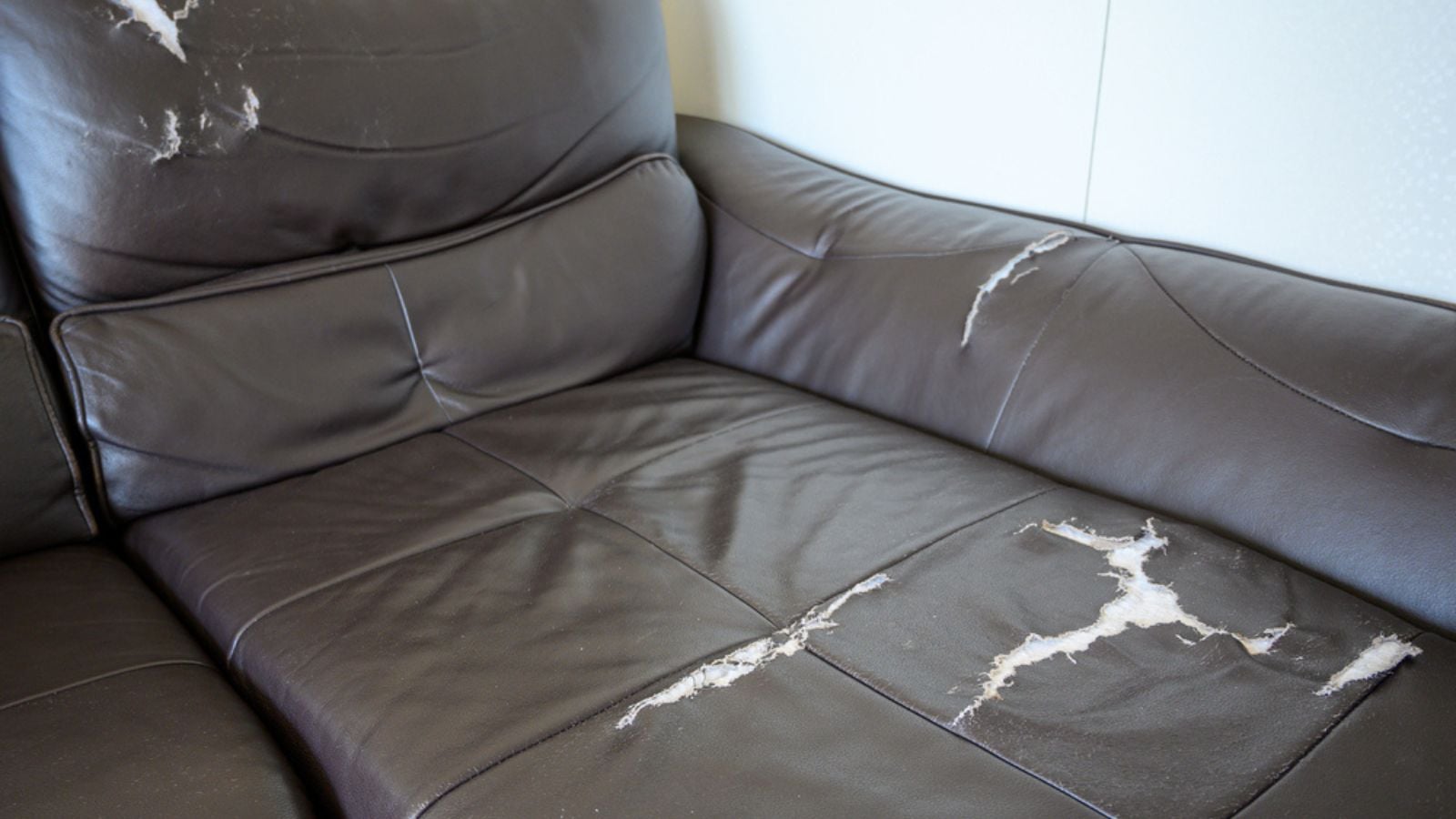 Old leather cover, torn leather cover, damaged leather sofa