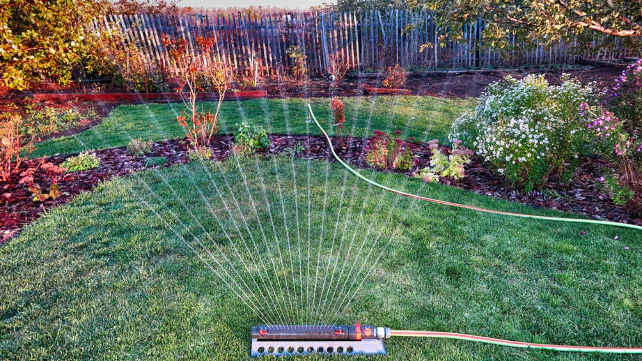 Oscillating sprinkler watering fresh mown lawn and flower bed in the evening autumn garden