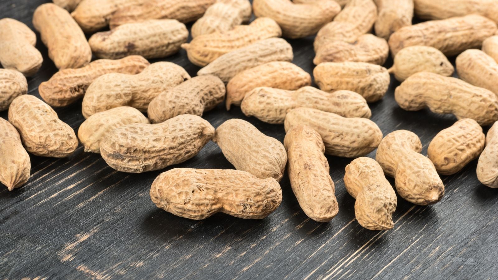 peanuts in shell.