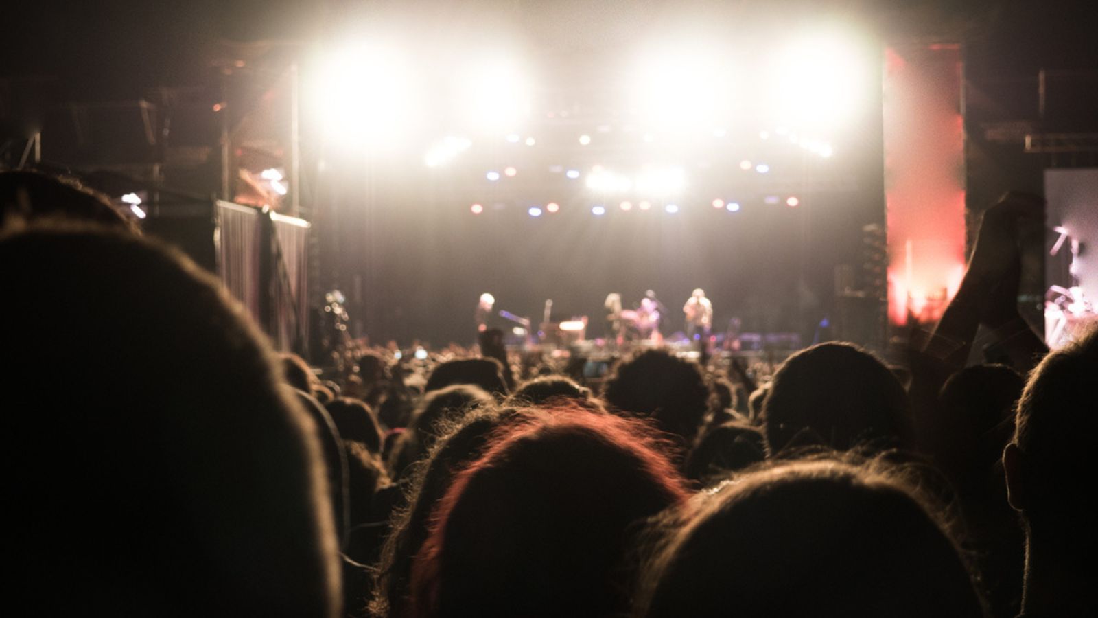 People enjoying of a music concert outdoors at the night