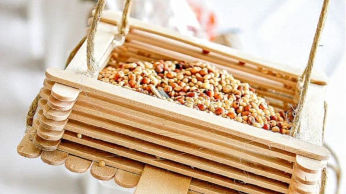 a birdfeeder made from popsicle sticks. 