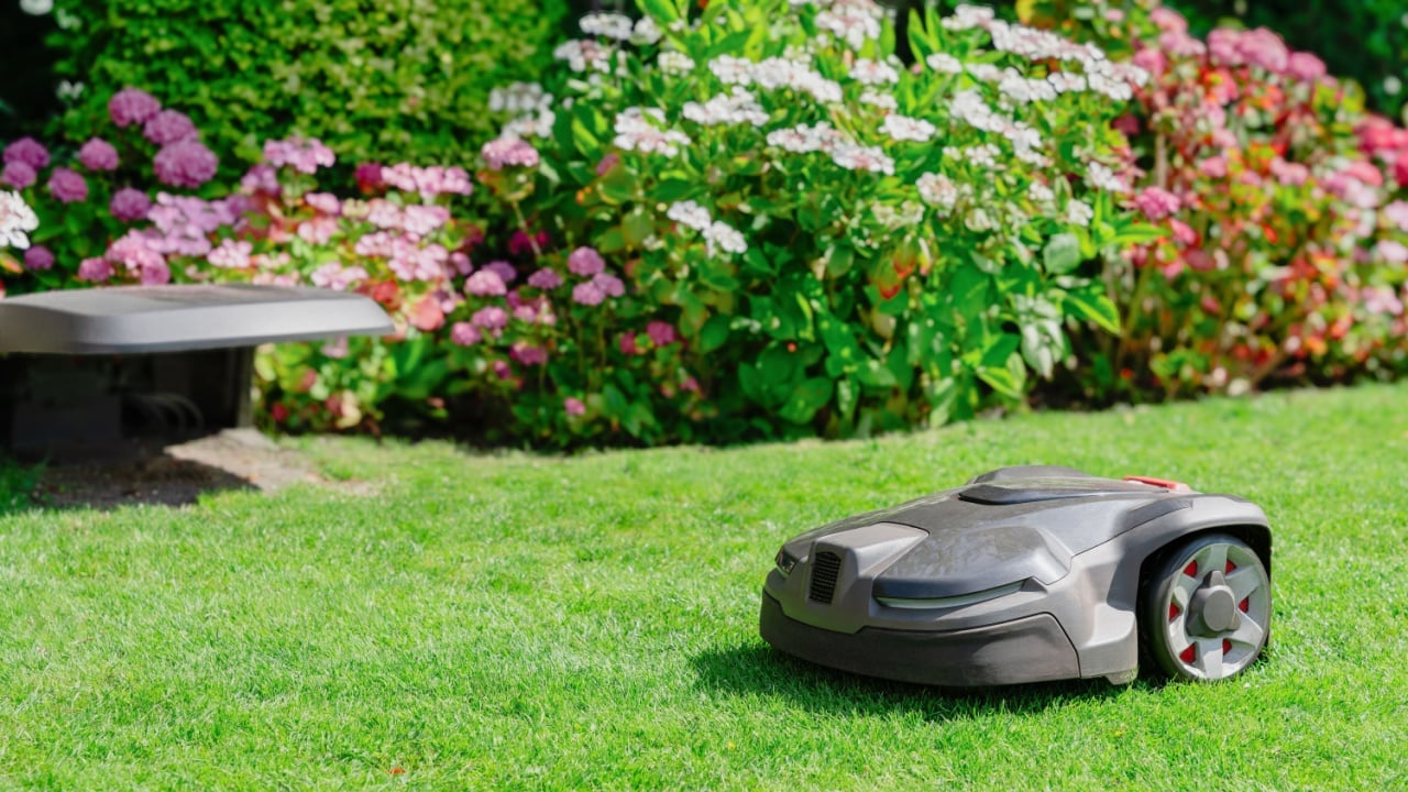 Robotic lawn mower trims grass in a garden with flowers and lush greenery, automated lawn maintenance
